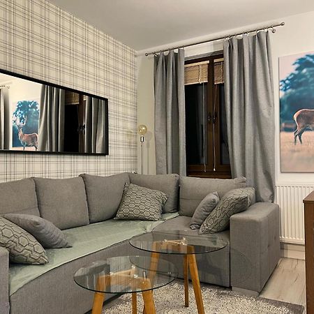 Apartament Dziki Rogacz Szczawnica Eksteriør billede